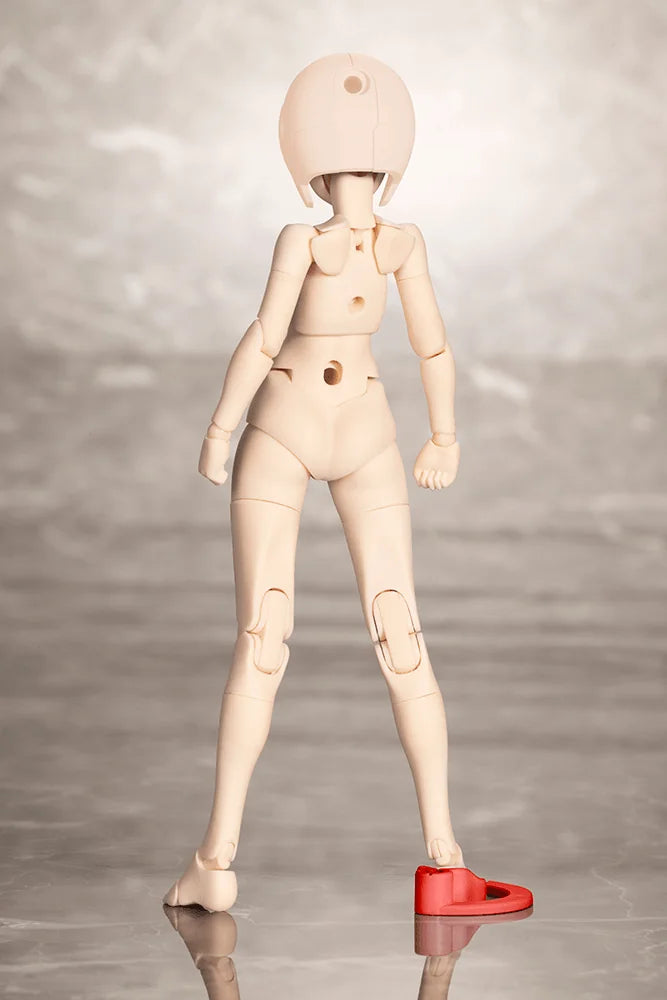 B1R-M CHASSIS KIT SKIN COLOR C