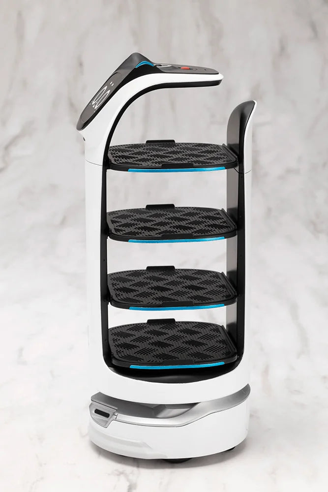 GRANDE SCALE BellaBot