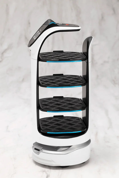 GRANDE SCALE BellaBot