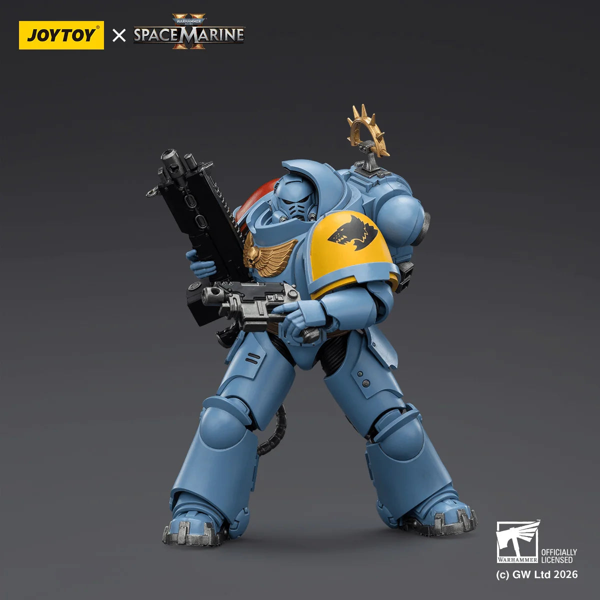 Game Edition Space Wolves Heavy Intercessor with Heavy Bolt Rifle and Bolt Pistol