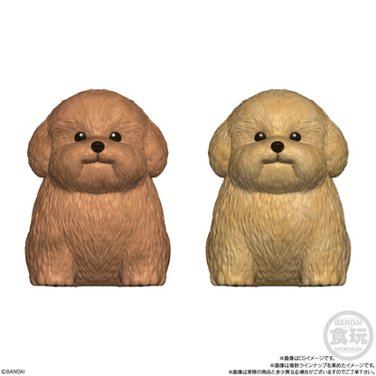 Mocchiri Kororin Dogs (Box/12), Bandai Shokugan Mocchiri Kororin
