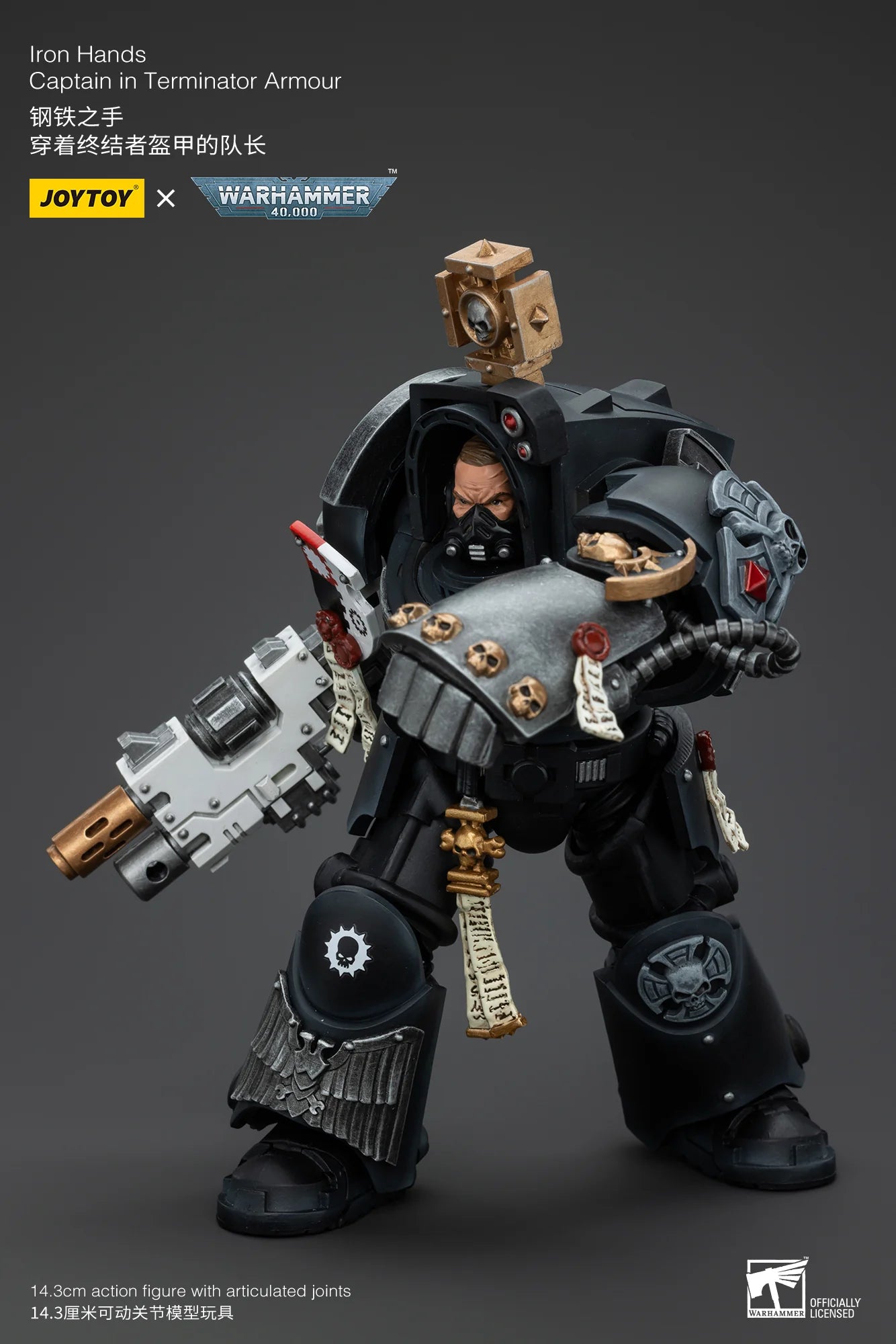 Iron Hands Captain in Terminator Armour