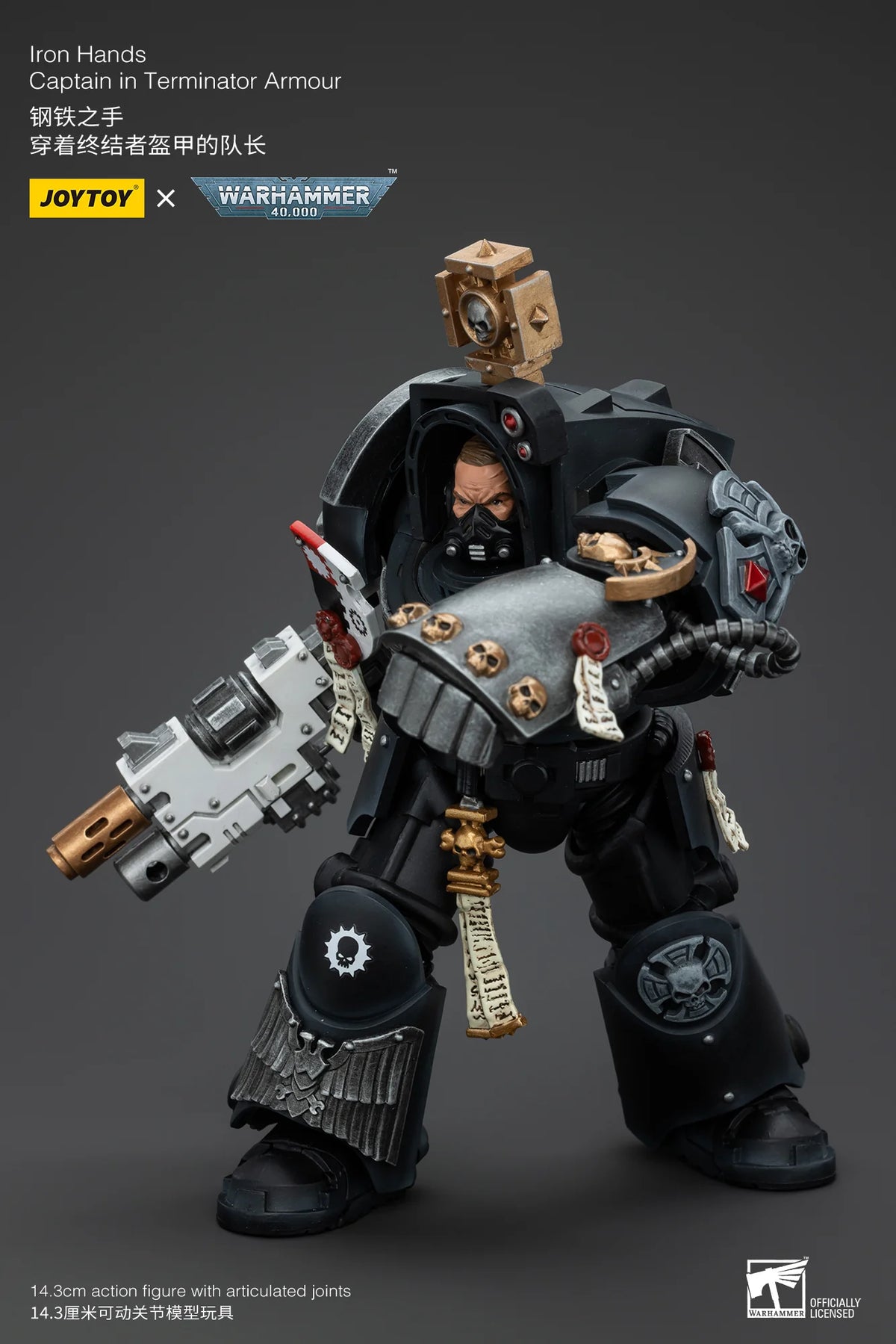 Iron Hands Captain in Terminator Armour