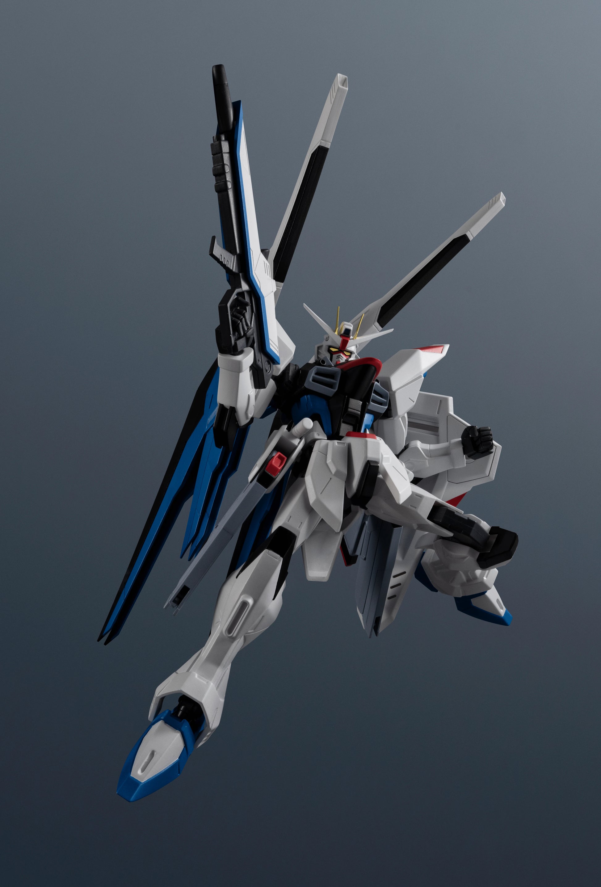 ZGMF-X10A FREEDOM GUNDAM RENEWAL