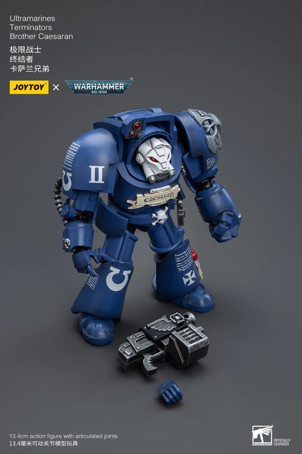 Ultramarines Terminators Brother Caesaran