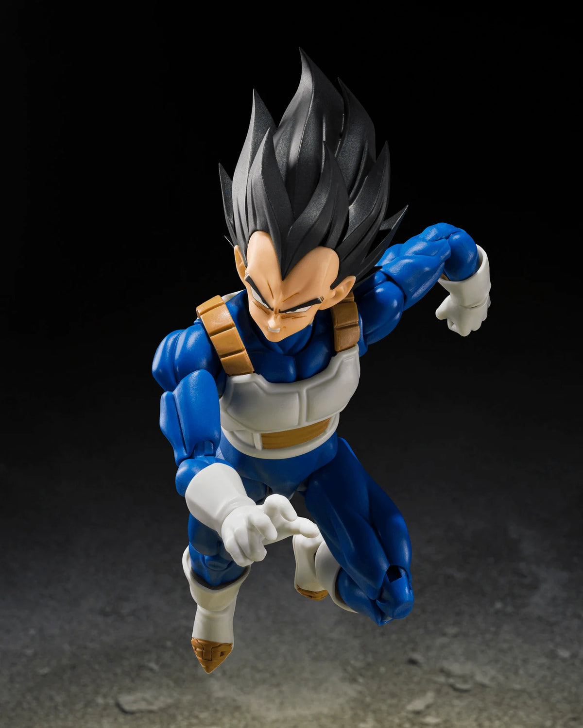 VEGETA <Z-FIGHTERS>