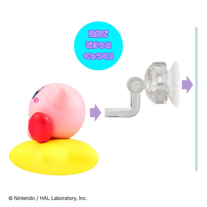 Tobimas Kirby (Box of 6)