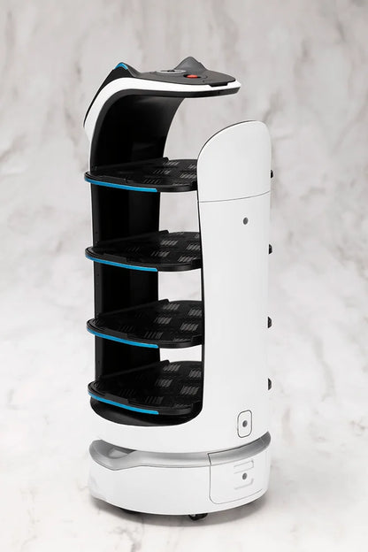 GRANDE SCALE BellaBot