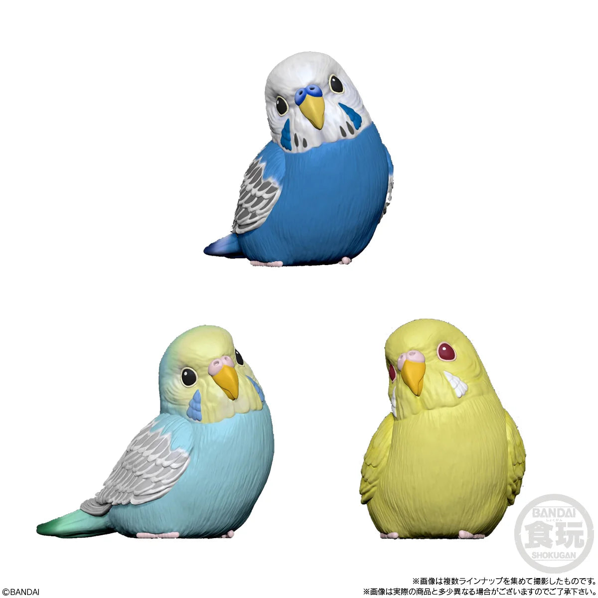 Tenori Friends 4 Birds (Box of 12)