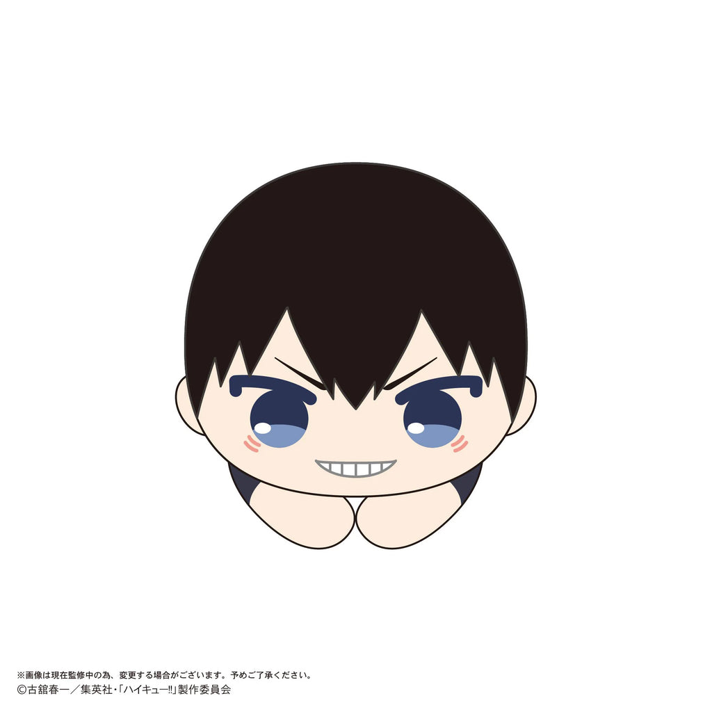 Haikyu!! HUG CHARACTER COLLECTION 10 (6pc per box)