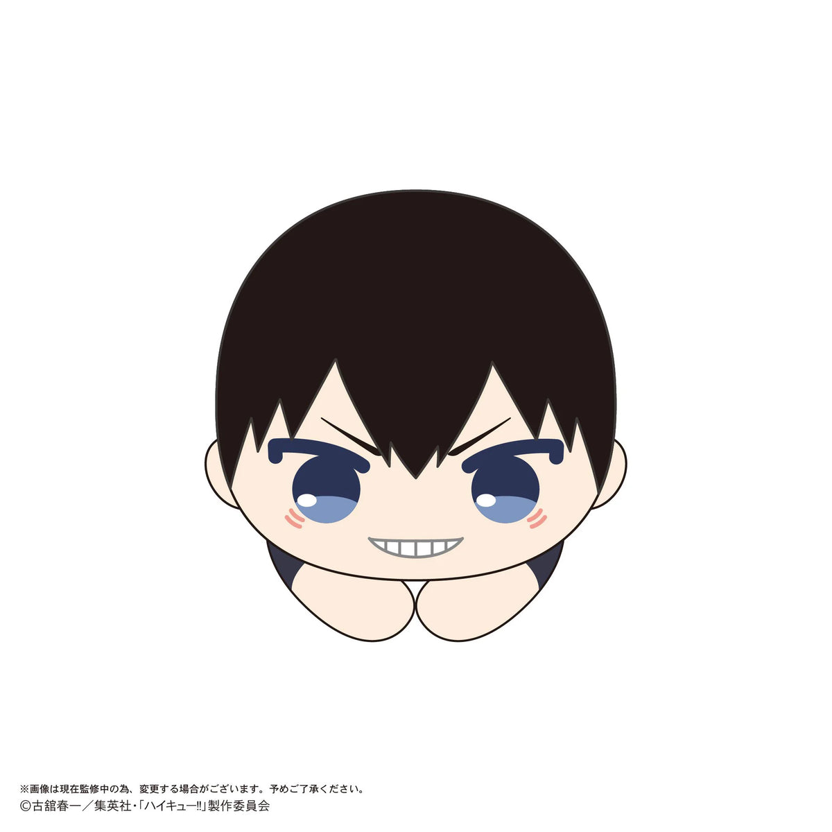 Haikyu!! HUG CHARACTER COLLECTION 10 (6pc per box)