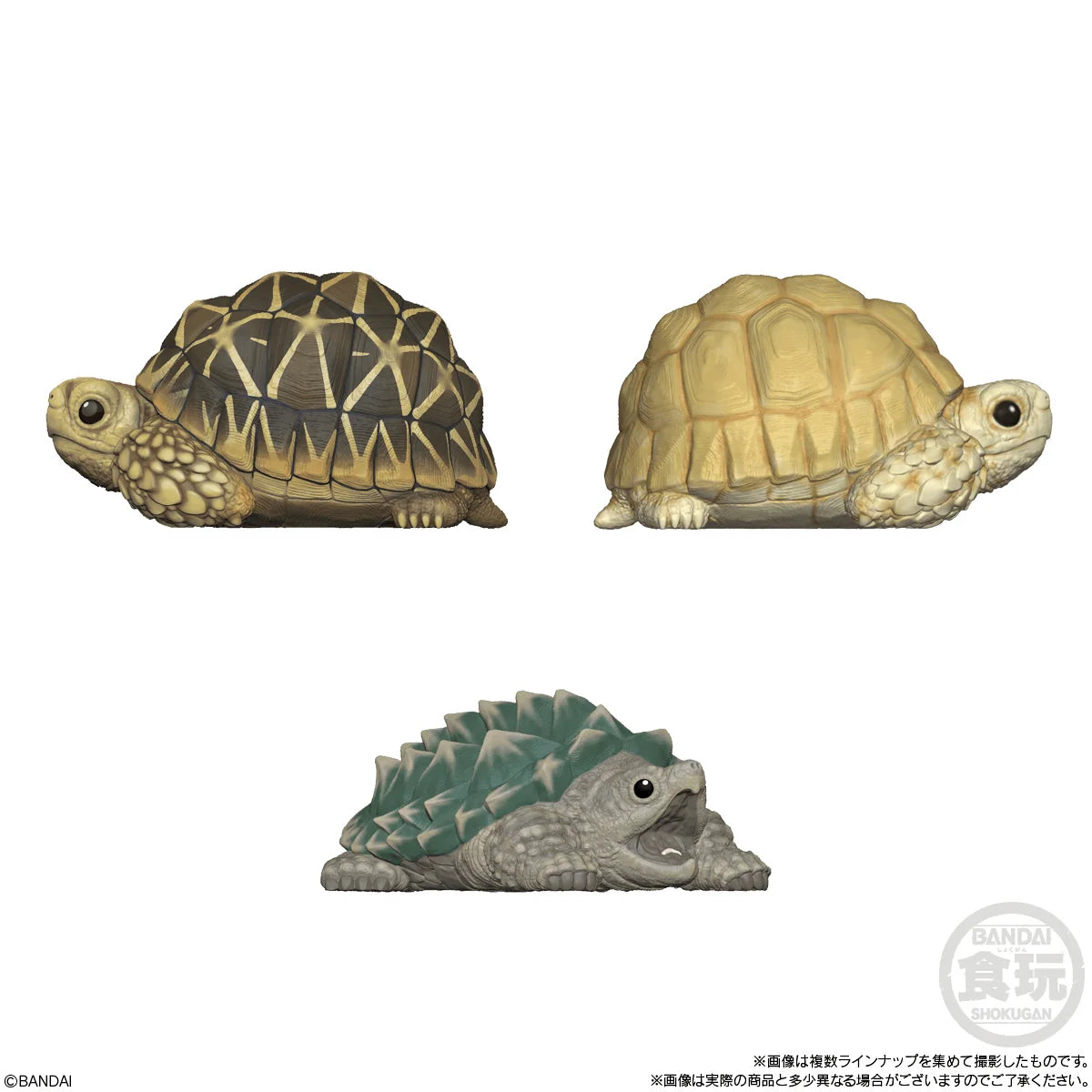 Tenori Friends 12, Bandai Shokugan Friends (Box of 12)