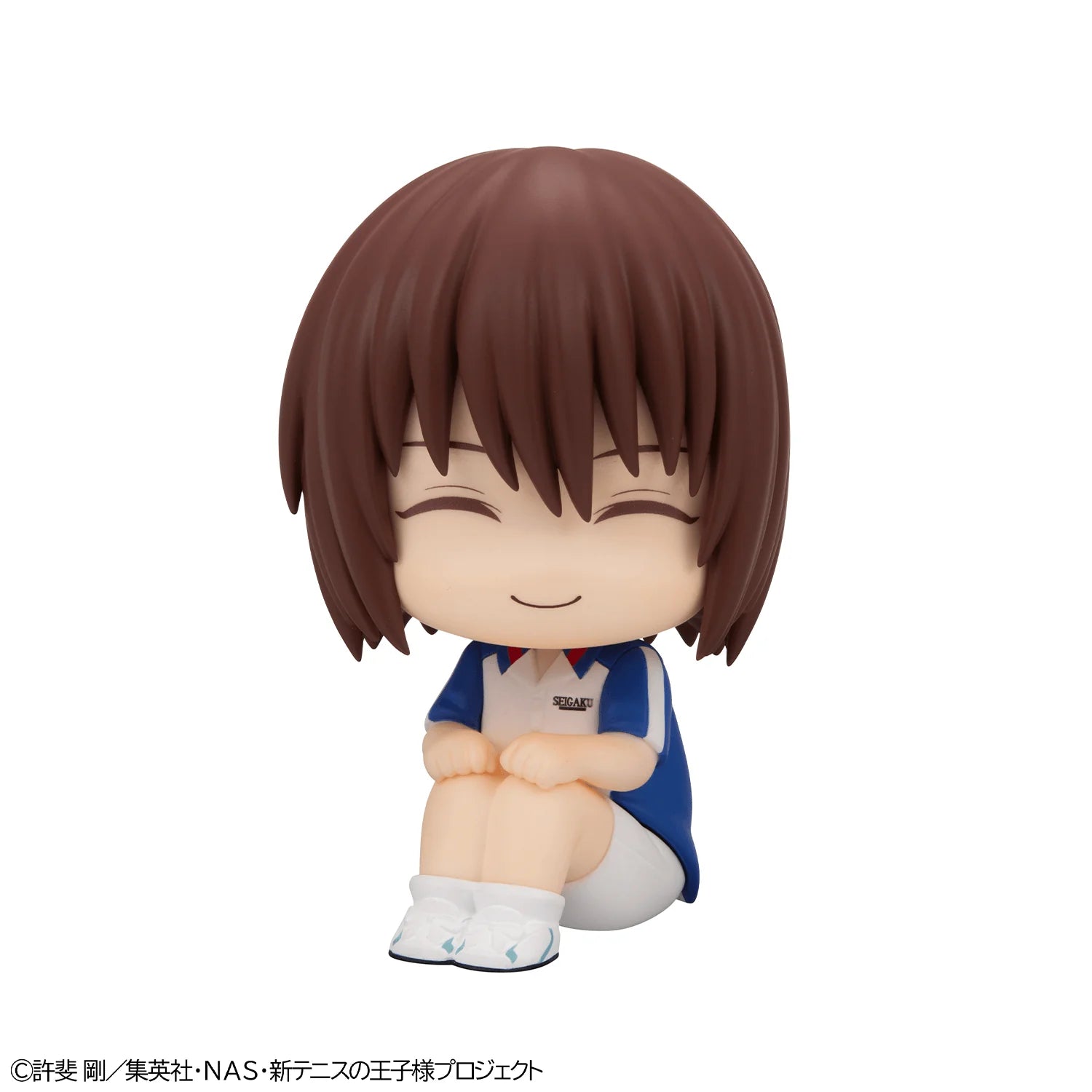 Lookup The New Prince of Tennis Shusuke Fuji