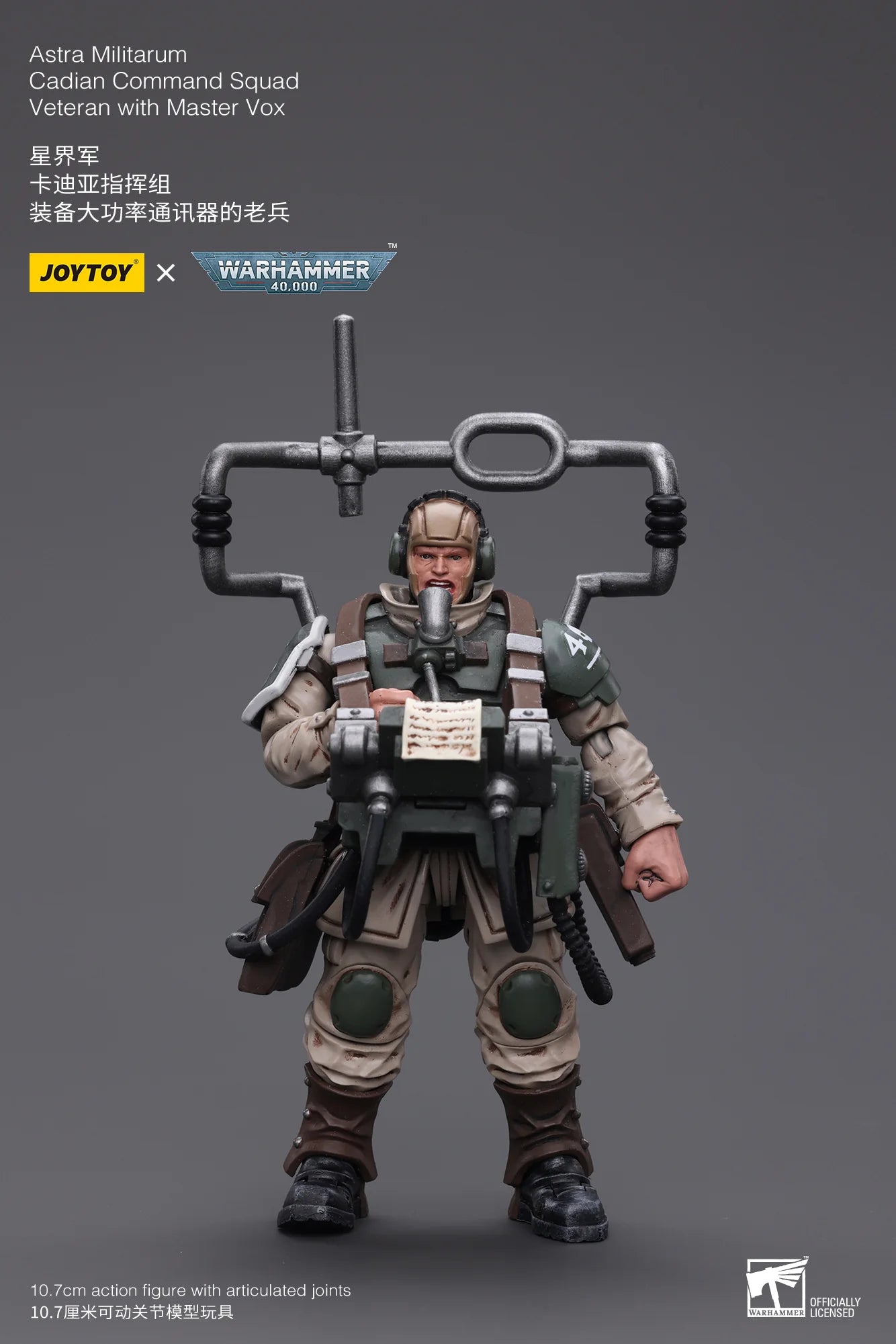 Astra Militarum Cadian Command Squad Veteran with Master Vox