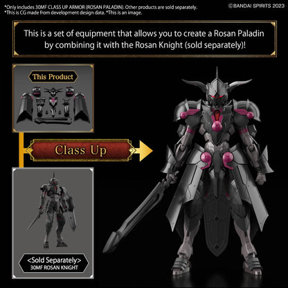 30MF CLASS UP ARMOR (ROSAN PALADIN)