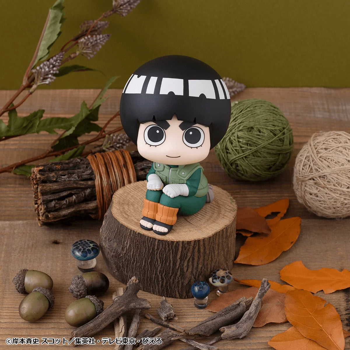 Lookup NARUTO Shippuden Rock Lee