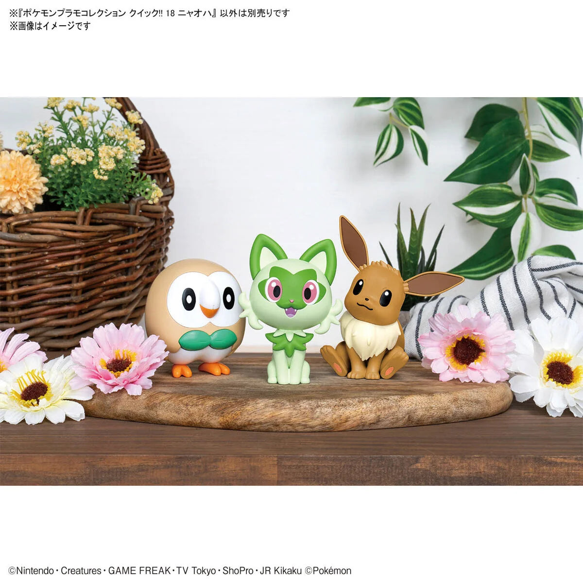 Pokémon Model Kit QUICK!! 18 SPRIGATITO