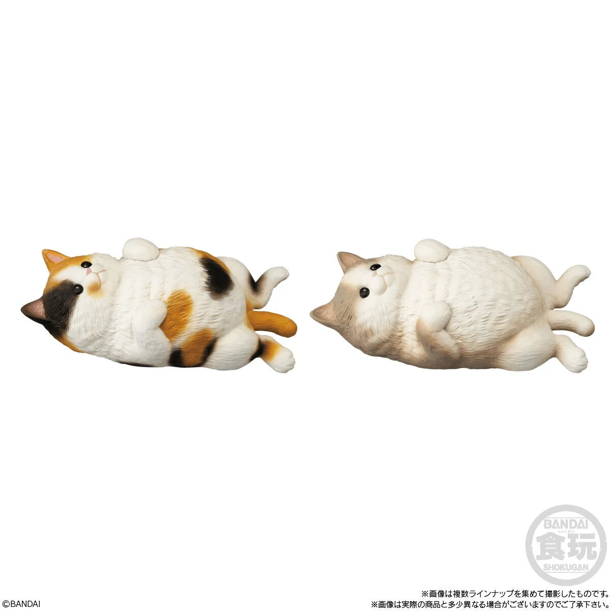 Bandai Shokugan Mocchiri Kororin Cats Squishy Vinyl Figures (Box/12)