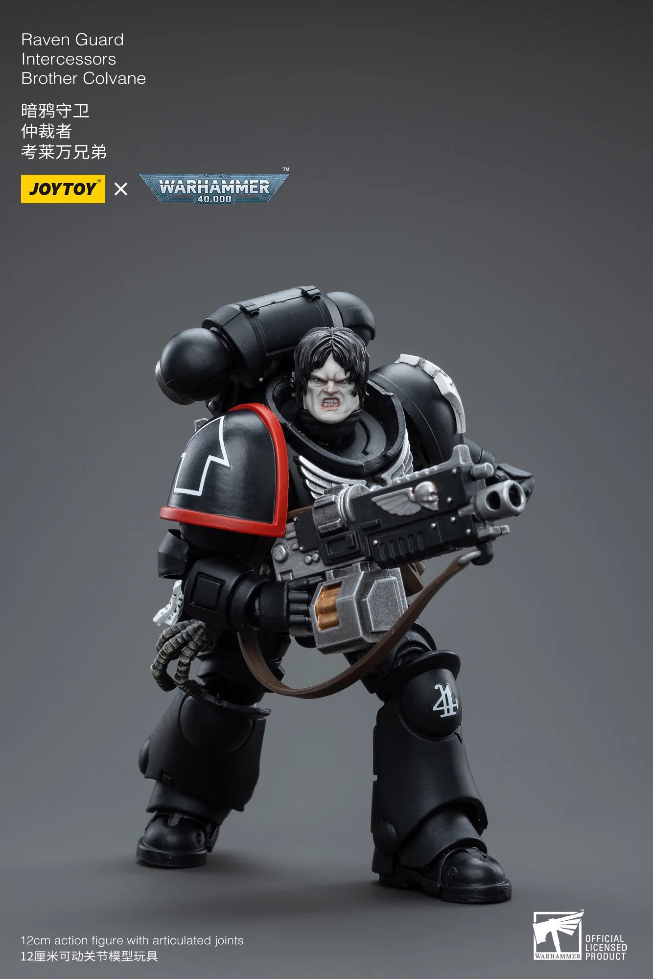 Warhammer 40K-Raven Guard Intercessors Brother Colvane