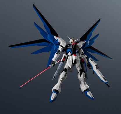 ZGMF-X10A FREEDOM GUNDAM RENEWAL