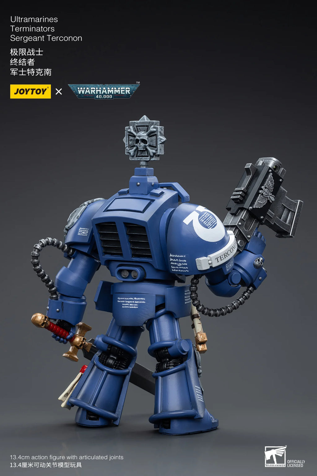 Ultramarines Terminators Sergeant Terconon