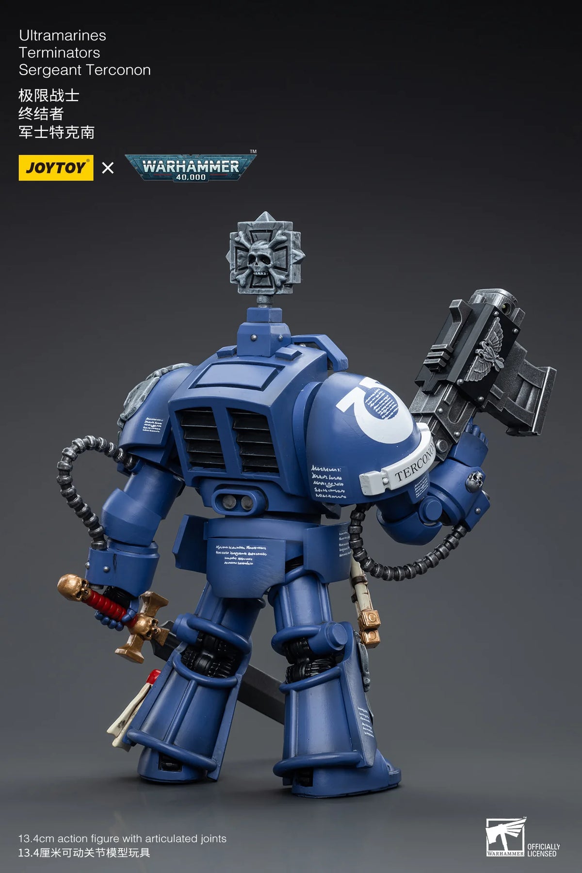 Ultramarines Terminators Sergeant Terconon