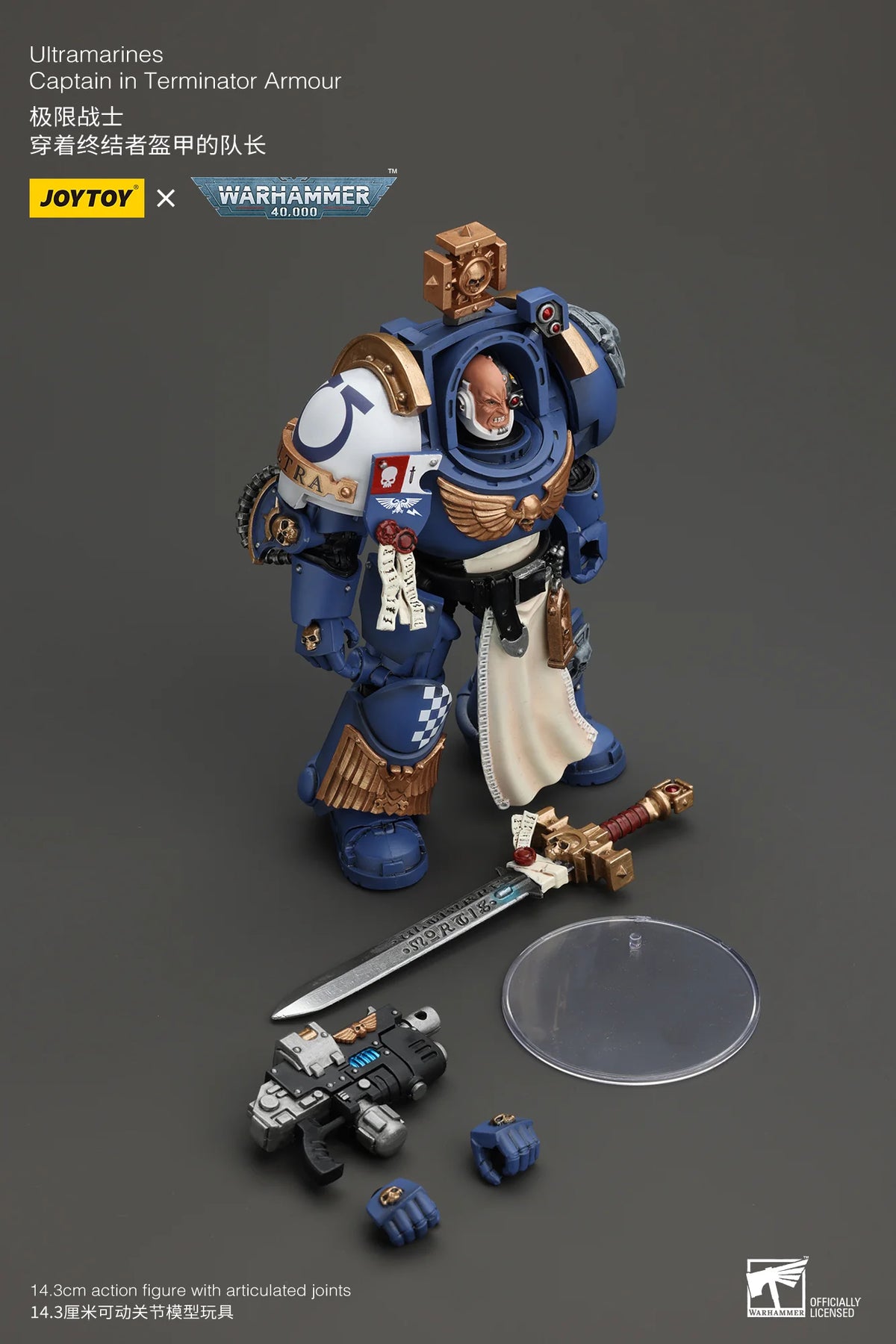 Ultramarines Captain In Terminator Armour