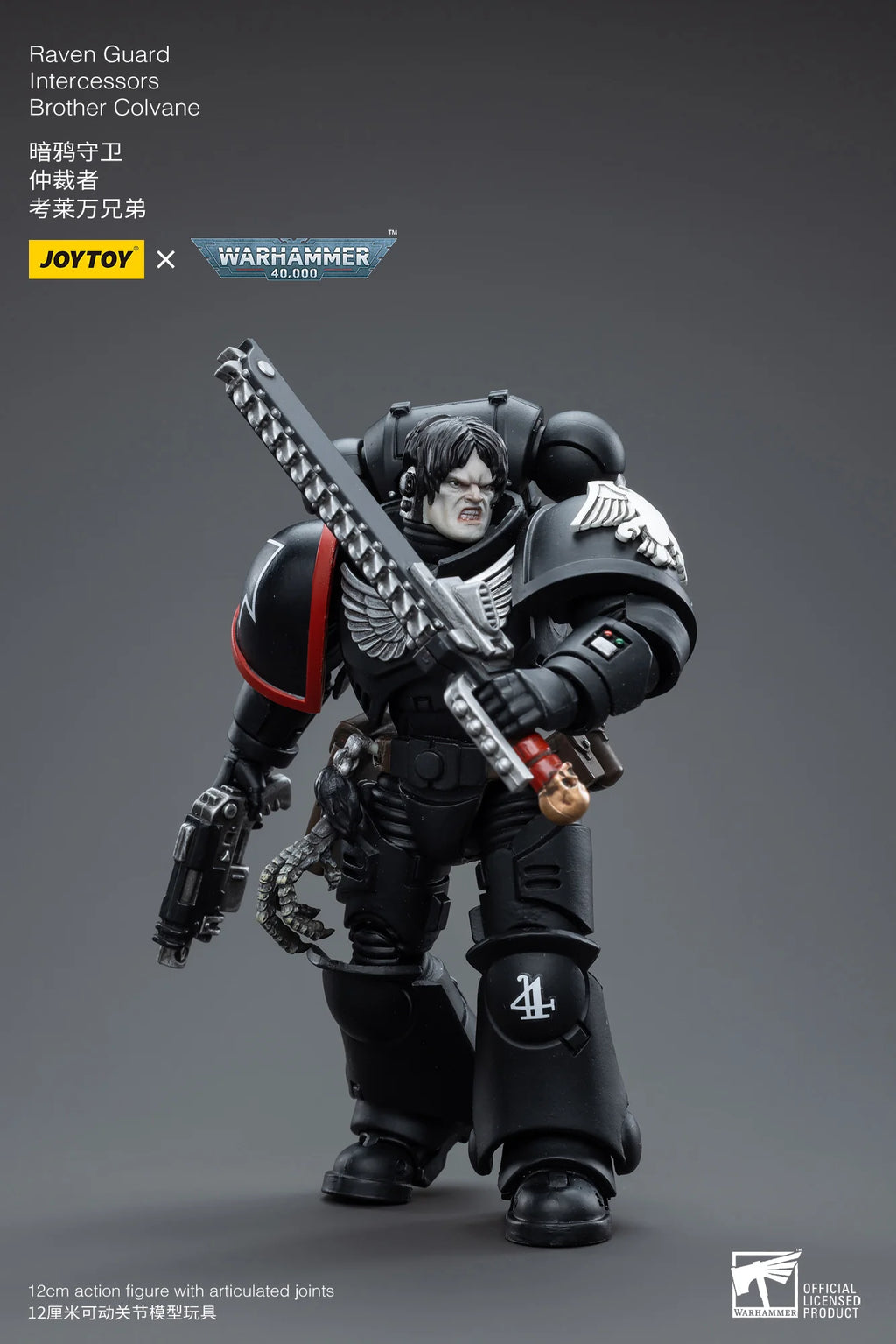 Warhammer 40K-Raven Guard Intercessors Brother Colvane