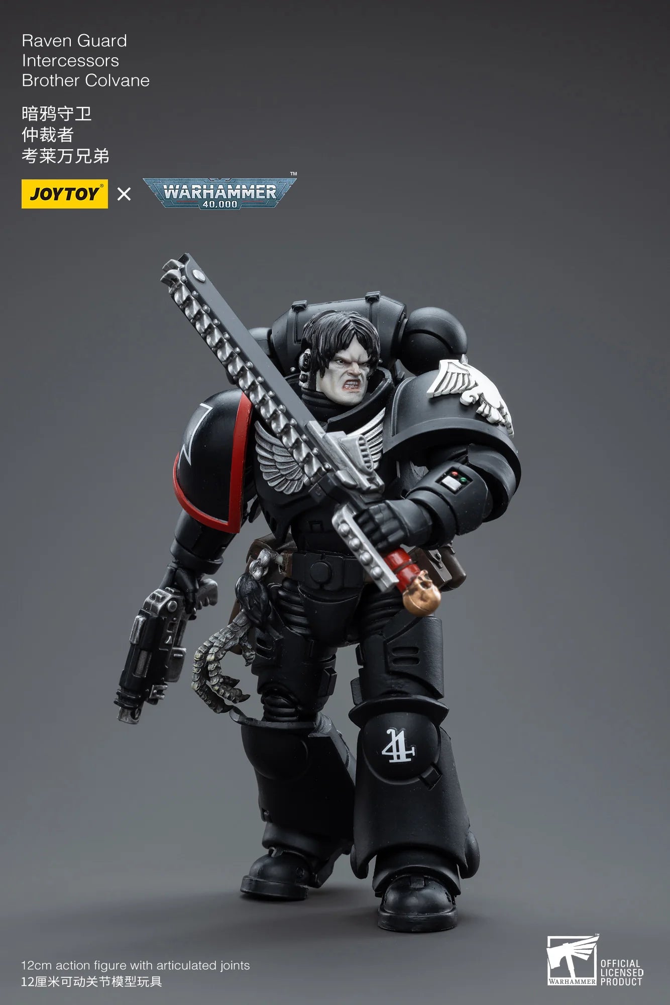 Warhammer 40K-Raven Guard Intercessors Brother Colvane
