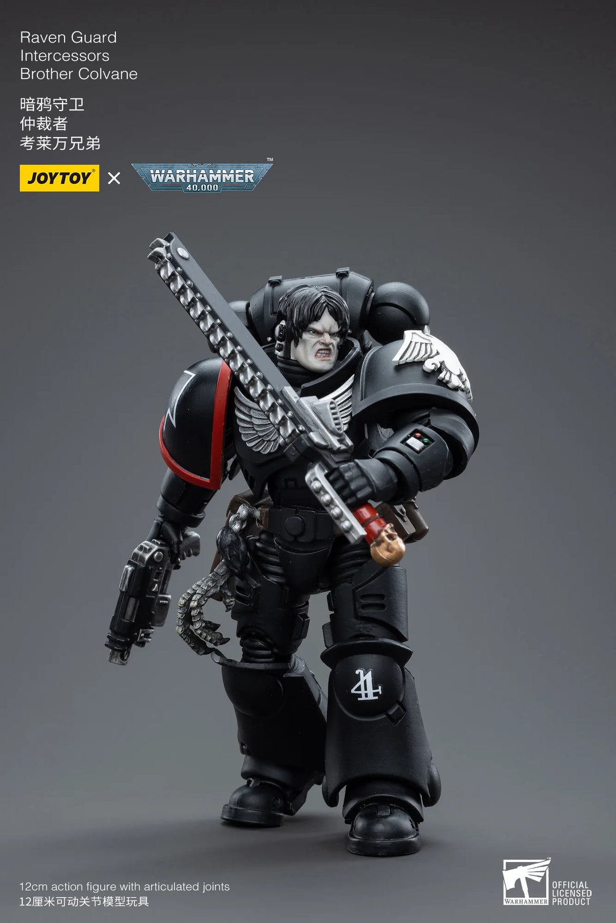 Warhammer 40K-Raven Guard Intercessors Brother Colvane
