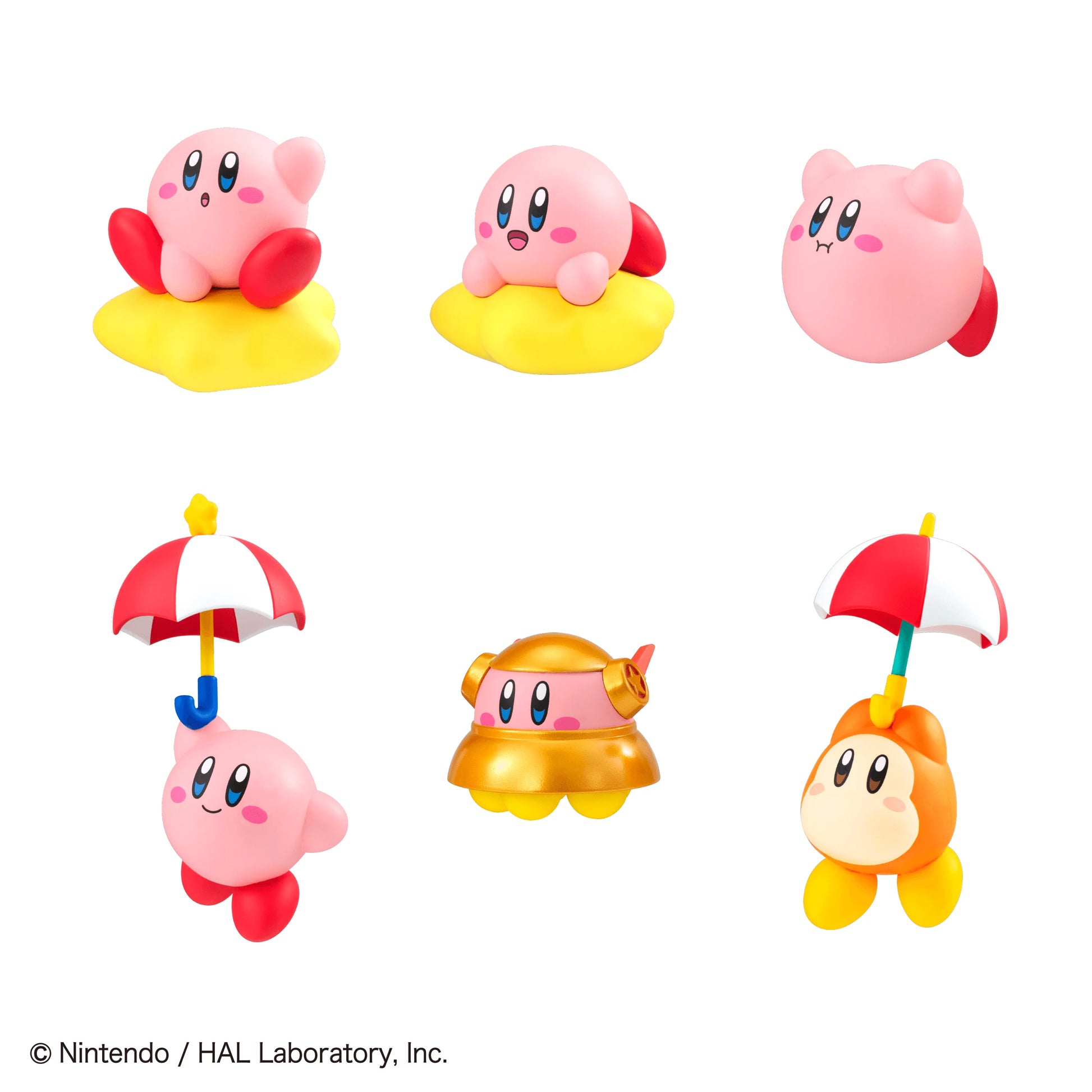 Tobimas Kirby (Box of 6)