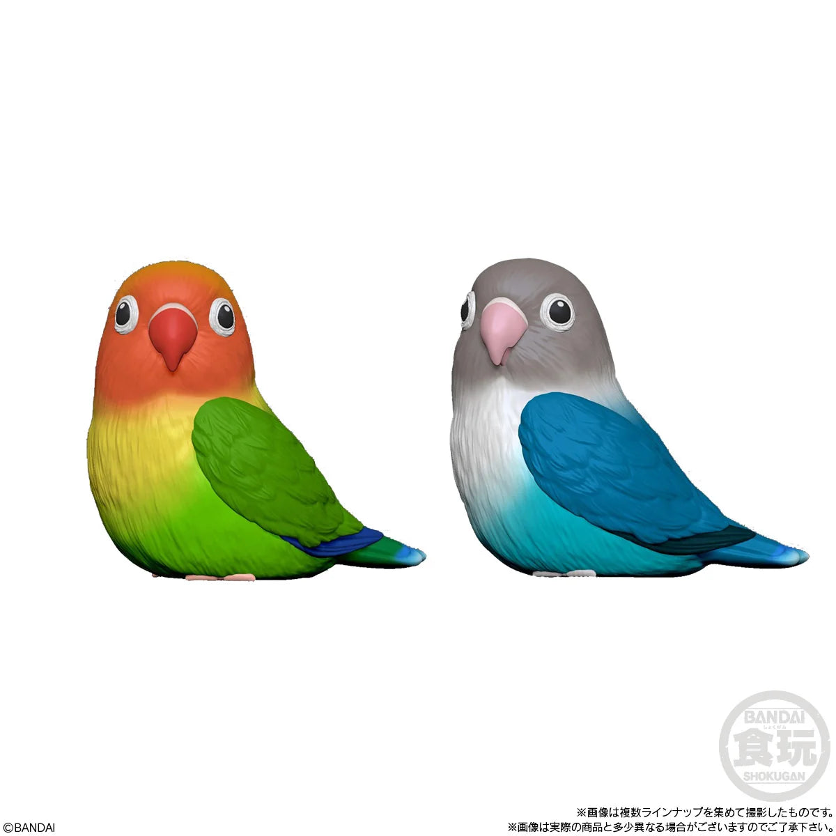 Tenori Friends 4 Birds (Box of 12)