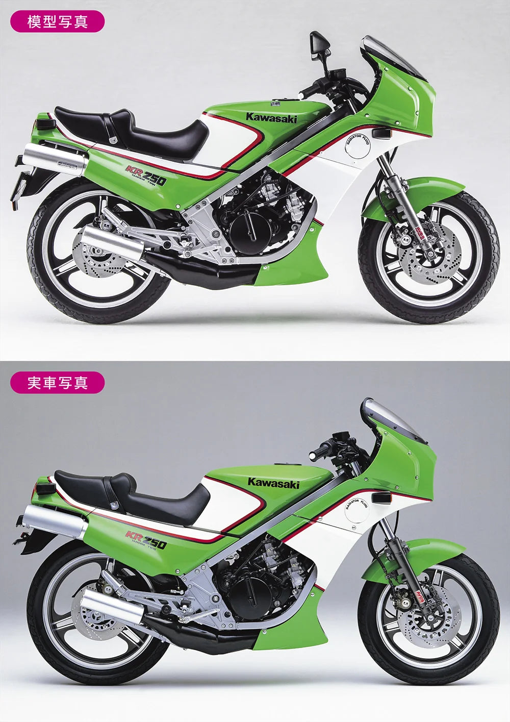 Hasegawa 1:12 Kawasaki KR250 (KR250A) Motorcycle Model Kit