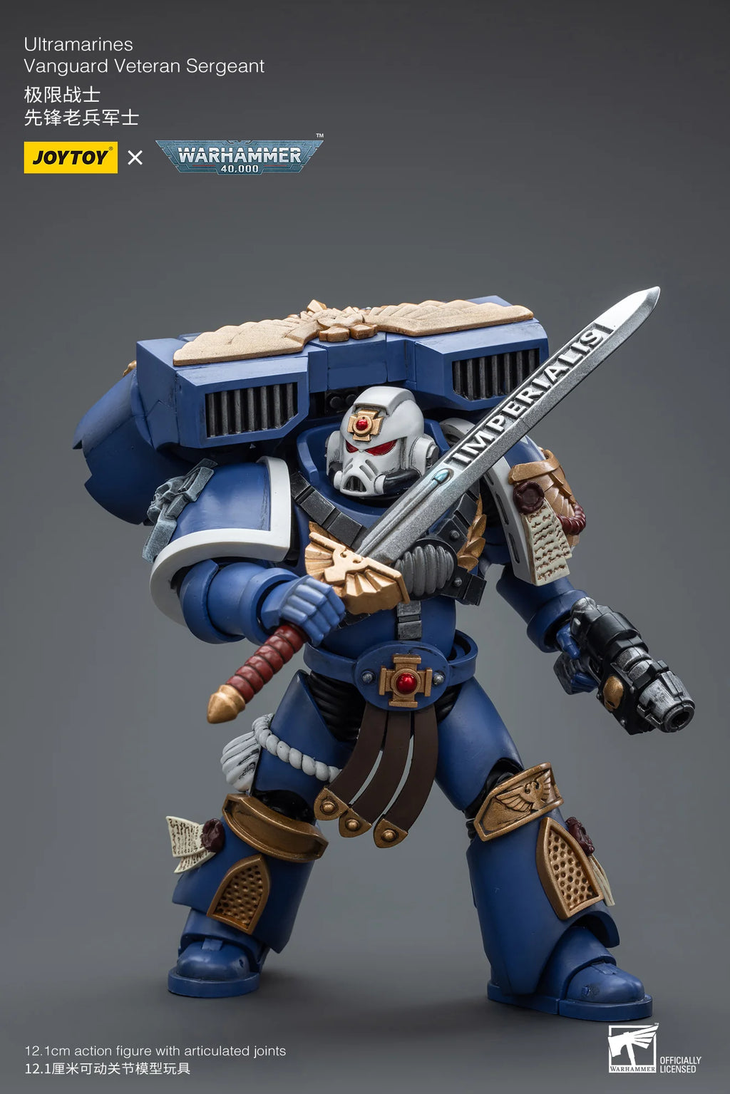 Ultramarines Vanguard Veteran Sergeant
