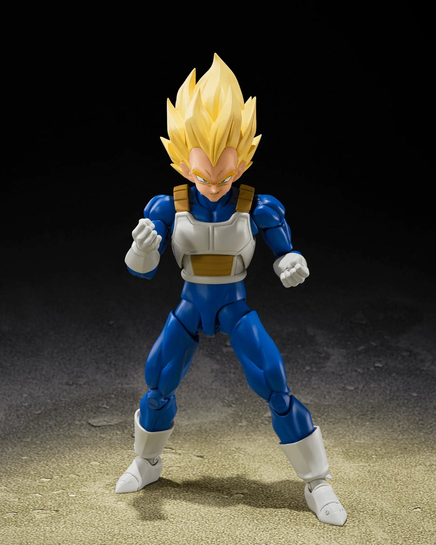 SUPER SAIYAN VEGETA <DANGEROUS PRIDE> "DRAGON BALL Z"
