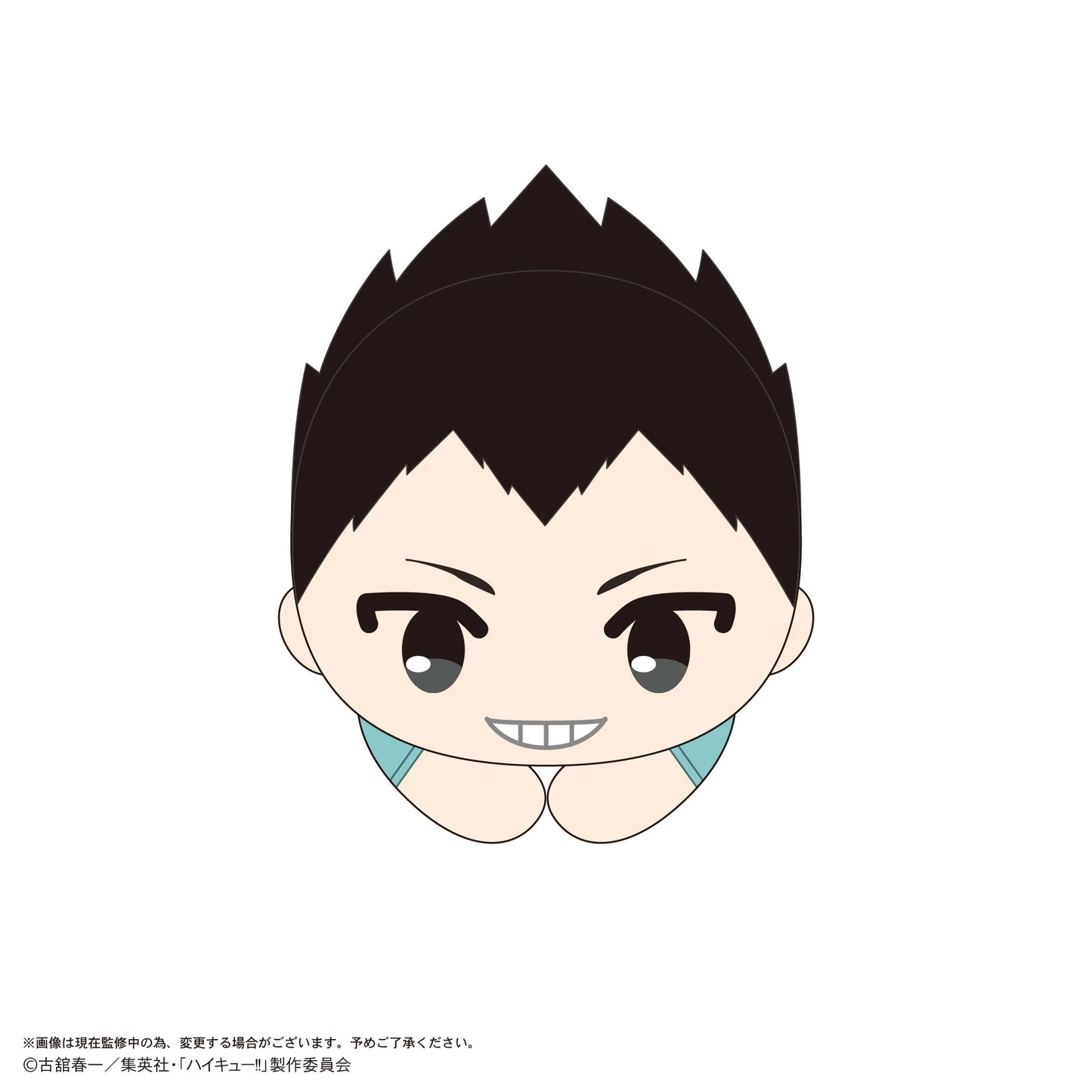 Haikyu!! HUG CHARACTER COLLECTION9 (6pc per box)