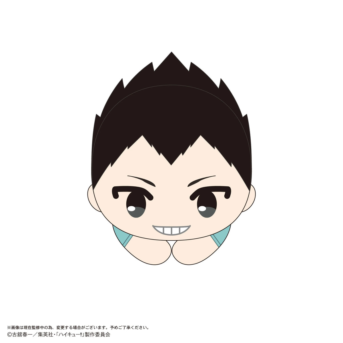 Haikyu!! HUG CHARACTER COLLECTION9 (6pc per box)