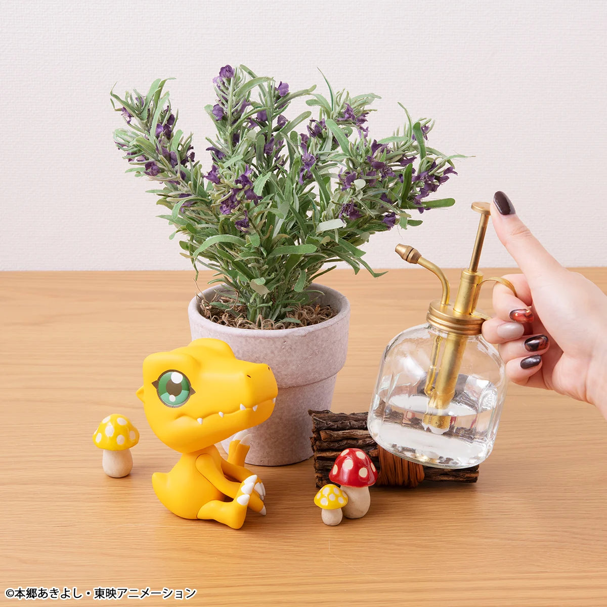 Lookup Digimon Adventure Agumon(Repeat)