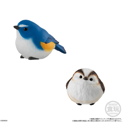 Tenori Friends 13 (Box of 12)