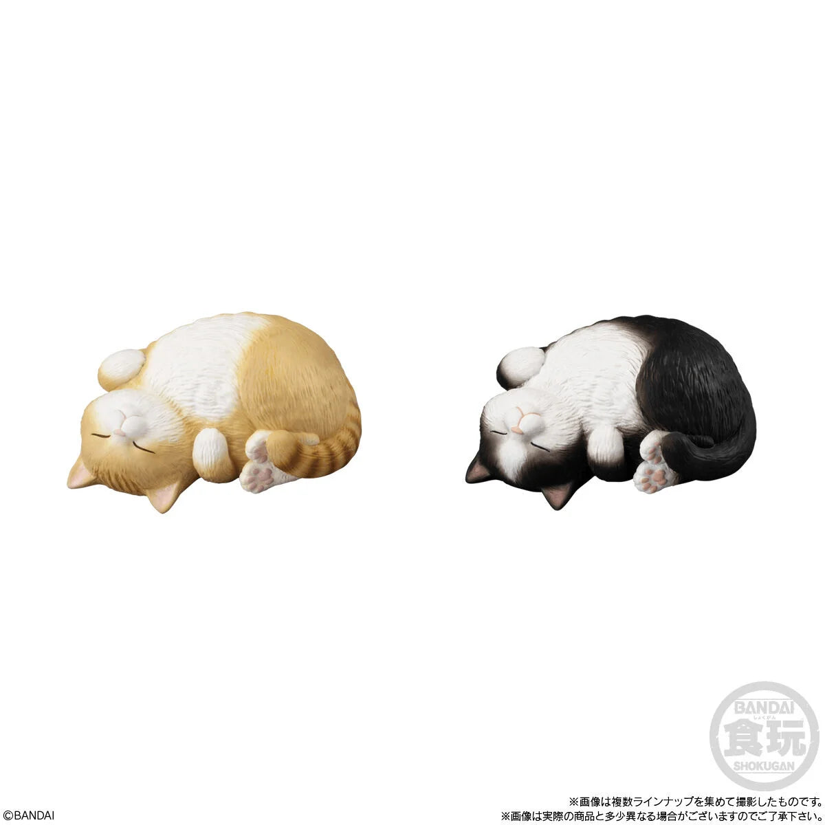 Bandai Shokugan Mocchiri Kororin Cats Squishy Vinyl Figures (Box/12)