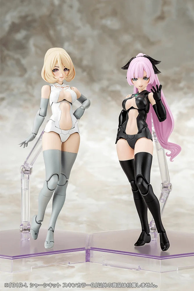 B1R-L CHASSIS KIT SKIN COLOR B