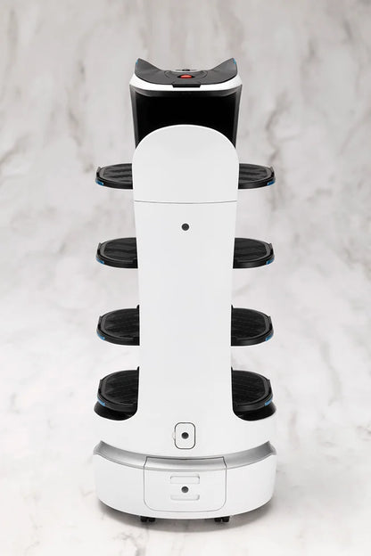 GRANDE SCALE BellaBot