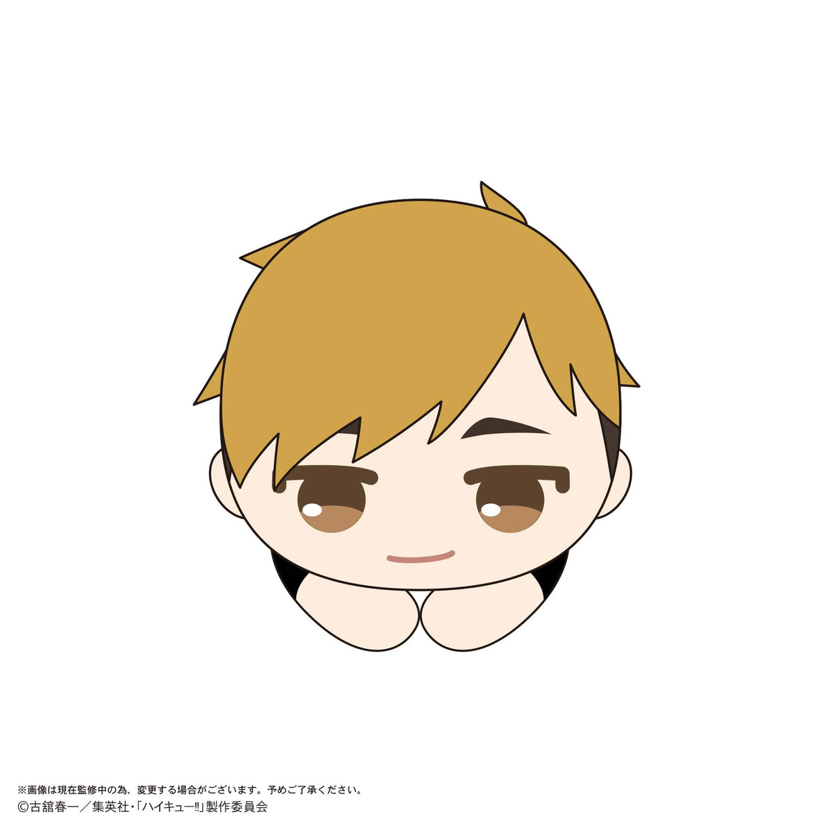 Haikyu!! HUG CHARACTER COLLECTION 10 (6pc per box)