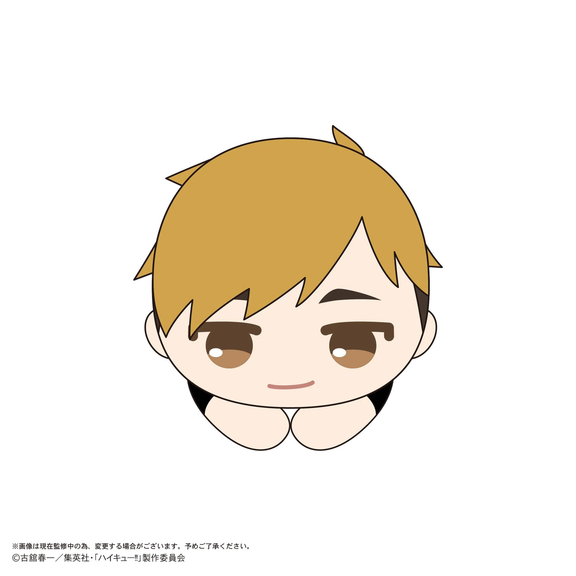 Haikyu!! HUG CHARACTER COLLECTION 10 (6pc per box)