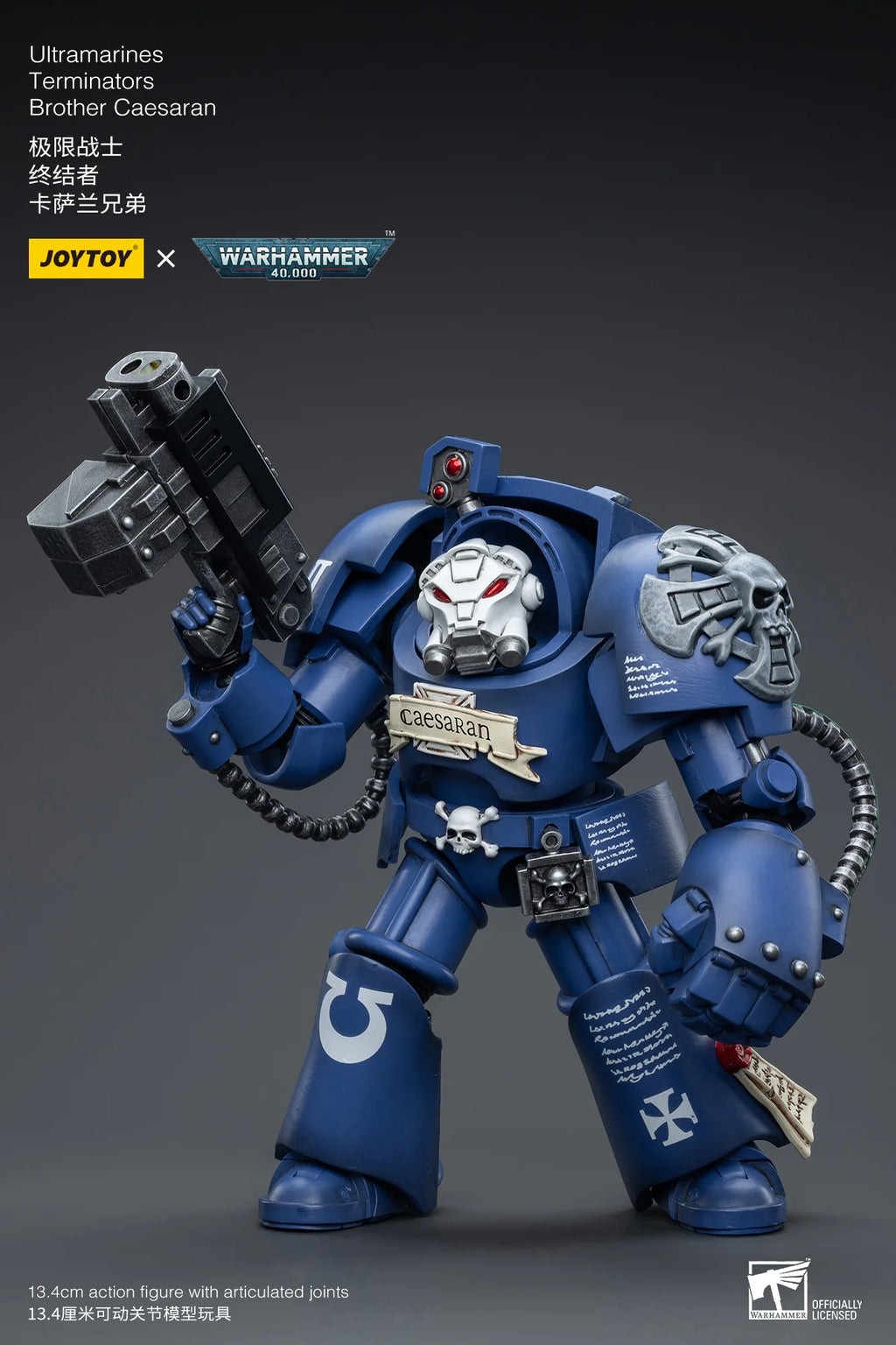 Ultramarines Terminators Brother Caesaran