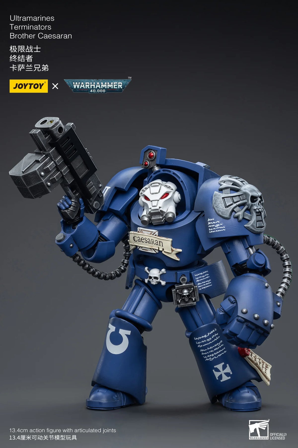 Ultramarines Terminators Brother Caesaran