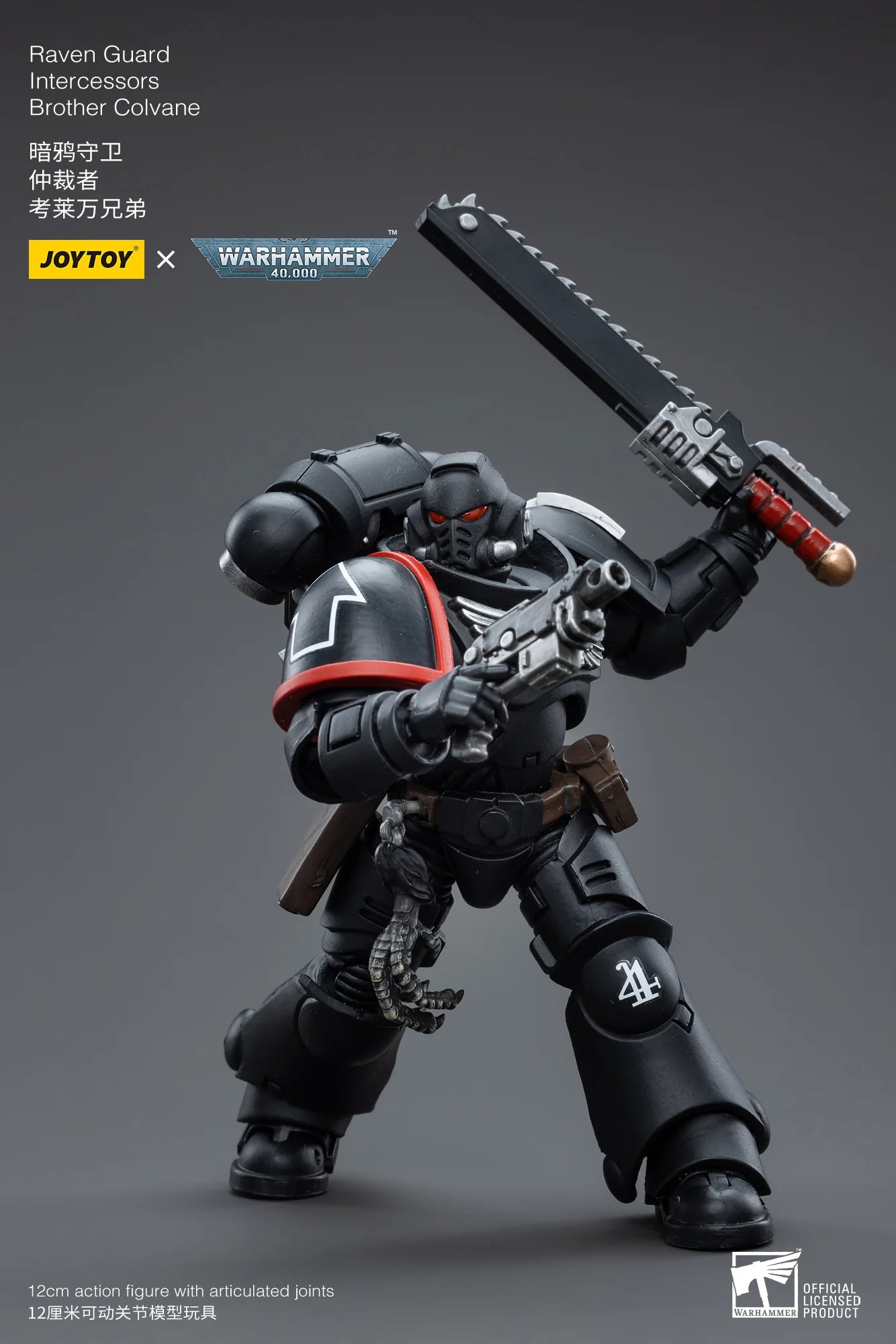 Warhammer 40K-Raven Guard Intercessors Brother Colvane