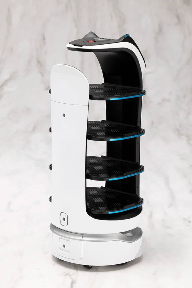 GRANDE SCALE BellaBot
