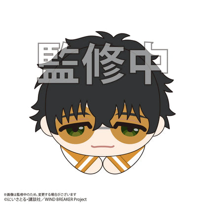 WIND BREAKER HUG CHARACTER COLLECTION 2