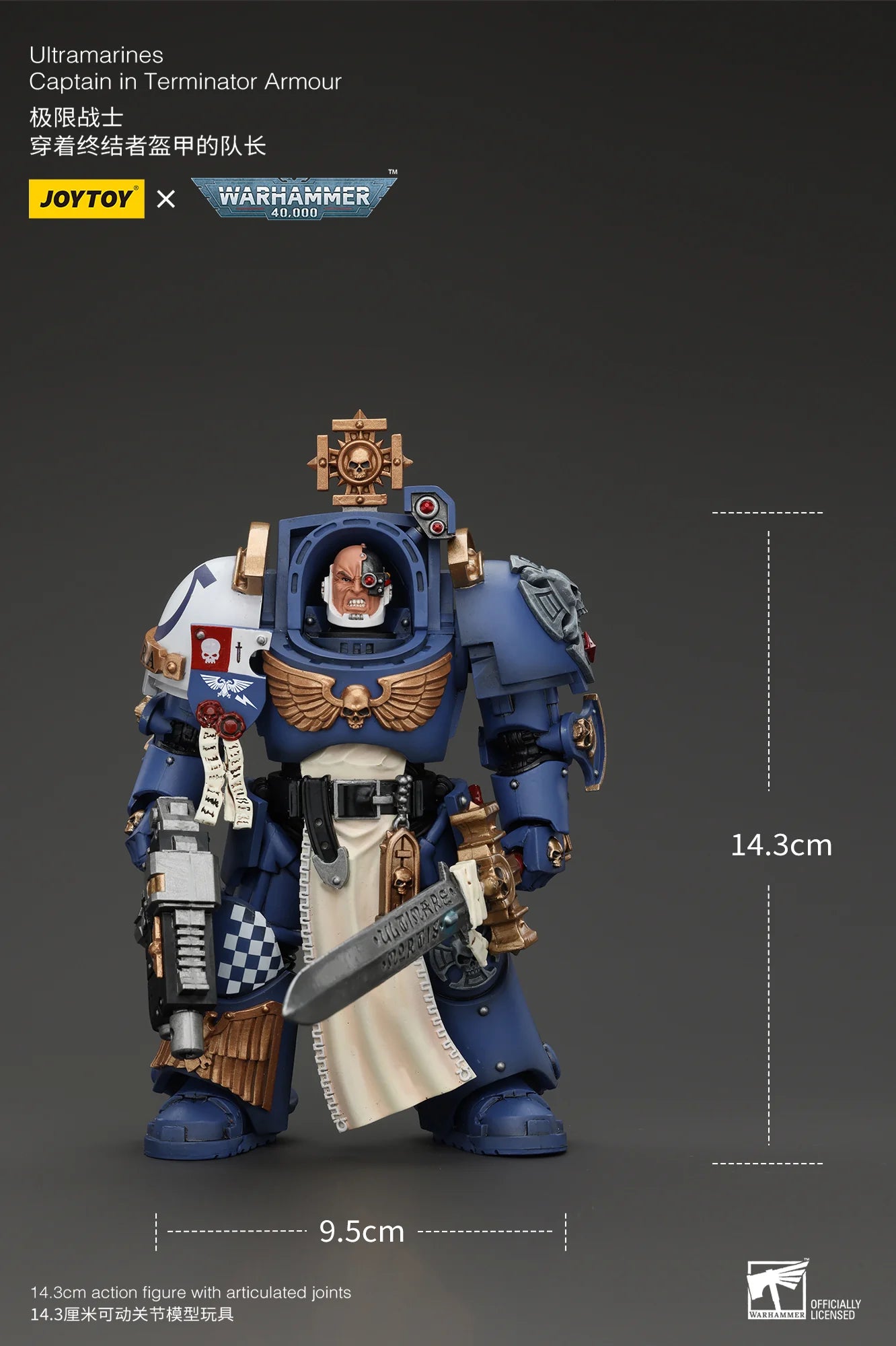 Ultramarines Captain In Terminator Armour